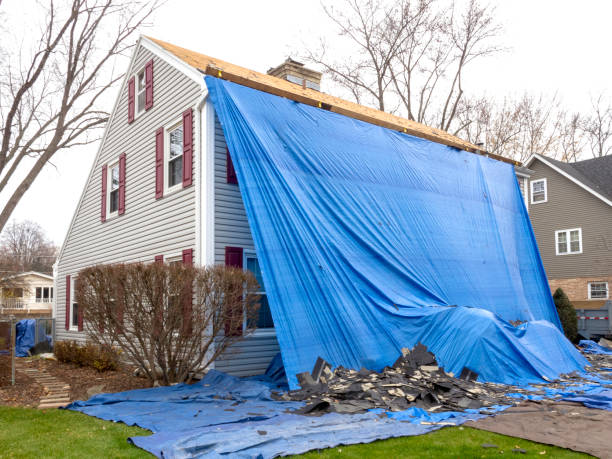 Best Siding for New Construction  in Avalon, CA